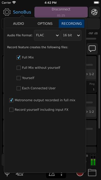 SonoBus App screenshot