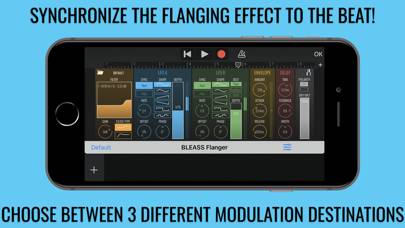BLEASS Flanger App skärmdump