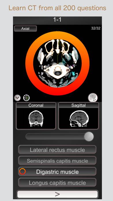 CT PassQuiz Head/Brain / MRI skärmdump