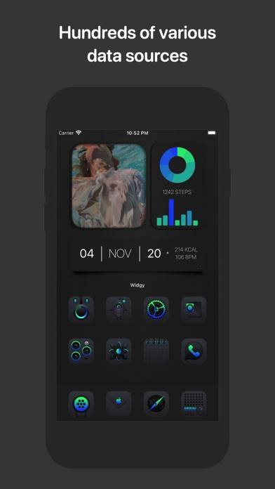 Widgy Widgets: Home/Lock/Watch App screenshot #4