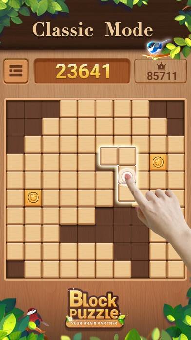 Wood Block Puzzle:Board Games Скриншот приложения #1