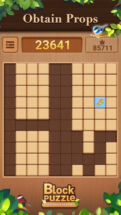 Wood Block Puzzle:Board Games Скриншот приложения #3