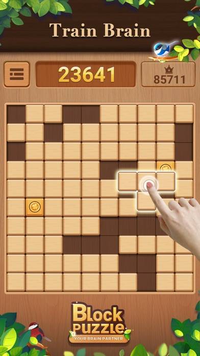Wood Block Puzzle:Board Games Скриншот приложения #4