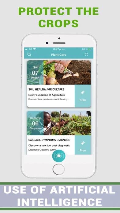 Plant Disease Identifier Prime Captura de pantalla de la aplicación #4