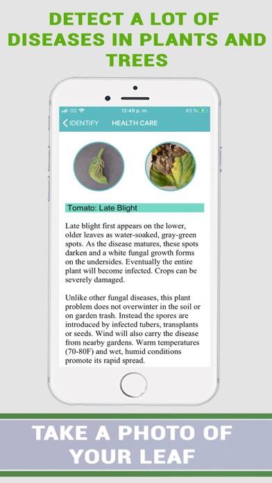Plant Disease Identifier Prime Captura de pantalla de la aplicación #5
