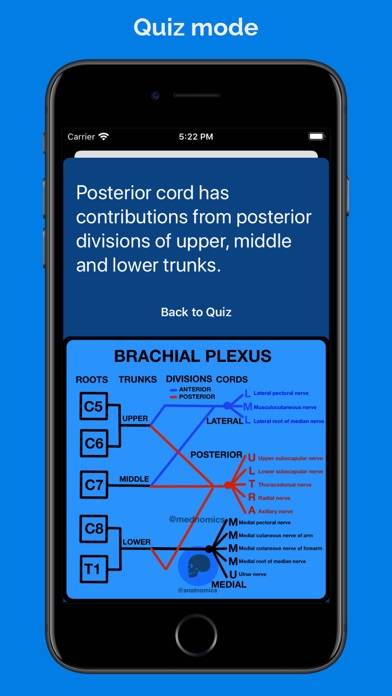 Anatnomics: Anatomy mnemonics Schermata dell'app