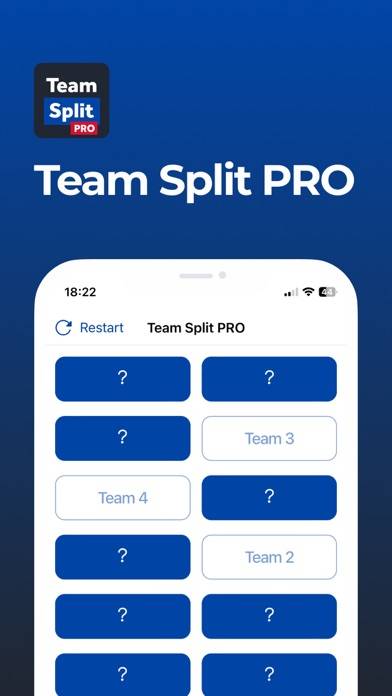 Team Split PRO App screenshot #1