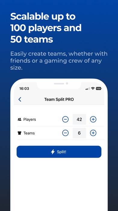 Team Split PRO App screenshot #3