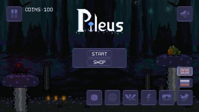 Pileus