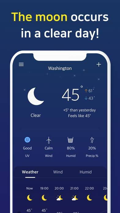 Weather Screen-Widget & Radar Uygulama ekran görüntüsü #3