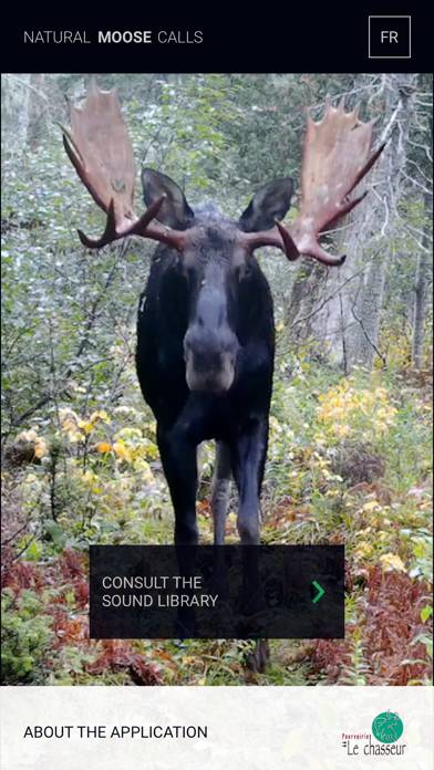Natural Moose Calls App skärmdump #2