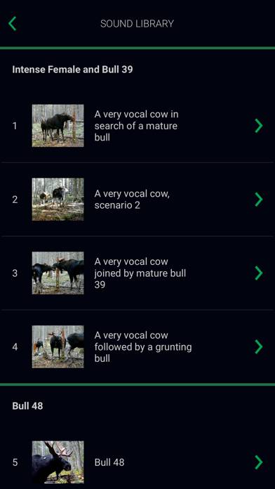 Natural Moose Calls Capture d'écran de l'application #4