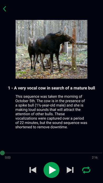 Natural Moose Calls App skärmdump #5