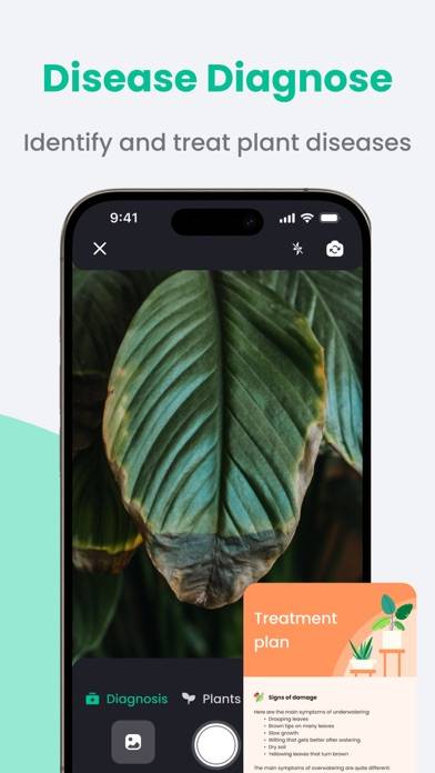 PlantIn: Plant Scan Identifier App screenshot #2