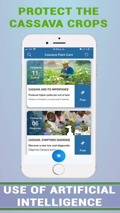 Cassava Plant Disease Identify App screenshot #3