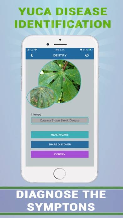 Cassava Plant Disease Identify App screenshot #4