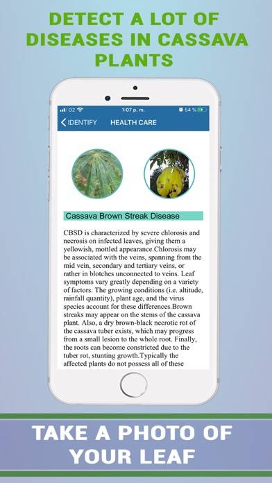 Cassava Plant Disease Identify App screenshot #5