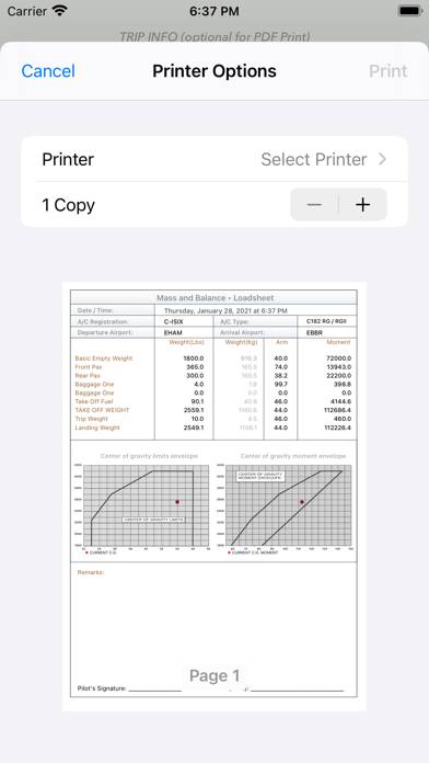 C182 M&B mobile Capture d'écran de l'application