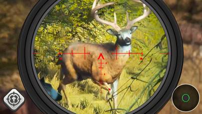 Deer Hunter 2024 Marksman Schermata dell'app #2