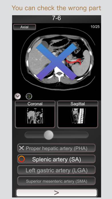 CT PassQuiz Abdomen / MRI Schermata dell'app #2