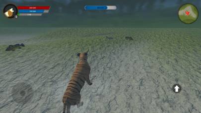 Asian Tiger Survival Simulator game screenshot