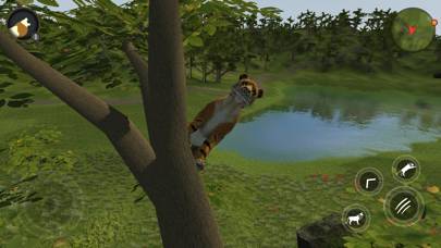 Asian Tiger Survival Simulator Capture d'écran de l'application #4