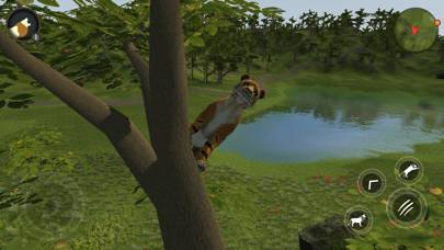 Asian Tiger Survival Simulator schermata del gioco