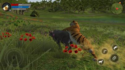 Asian Tiger Survival Simulator schermata del gioco