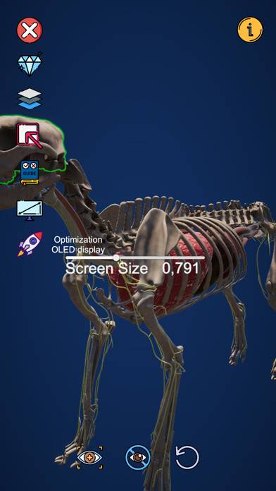 Dog Anatomy Captura de pantalla de la aplicación