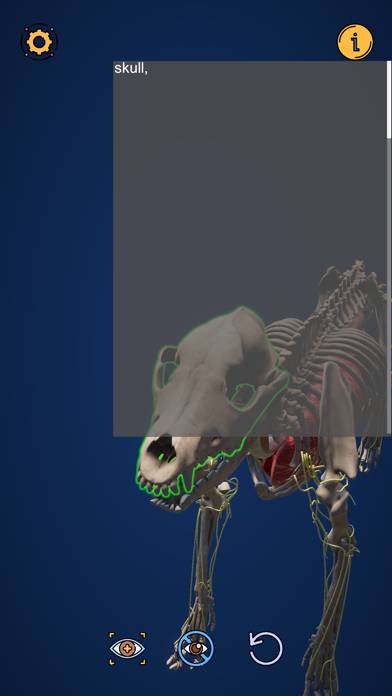 Dog Anatomy Captura de pantalla de la aplicación