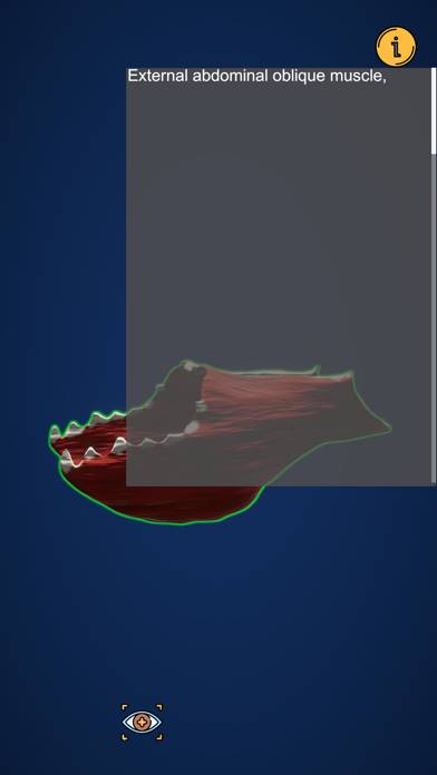 Dog Anatomy Captura de pantalla de la aplicación