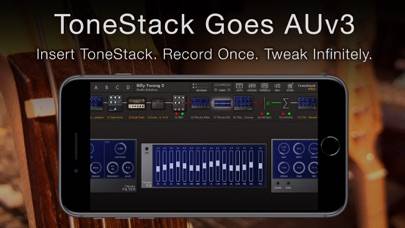 ToneStack PRO Guitar Amps & FX Captura de pantalla de la aplicación #2