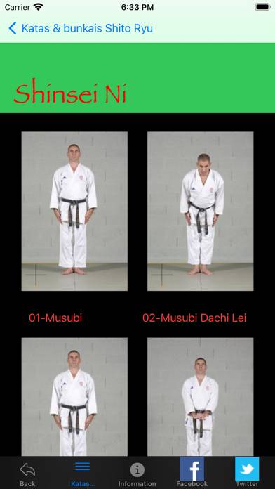 Karate Shito-ryu1 App screenshot #5