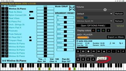Winlive Synth Mobile App screenshot #3