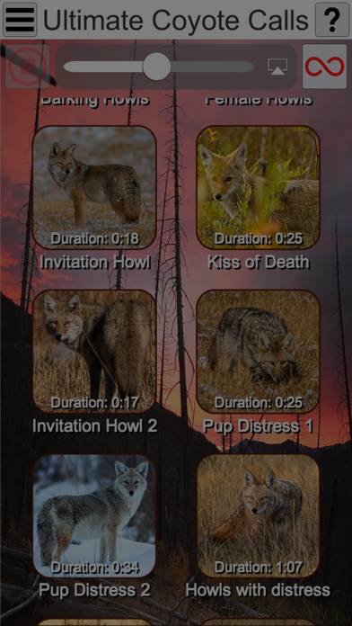Ultimate Coyote Calls App-Screenshot #5
