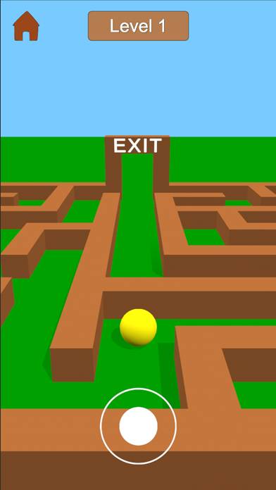 Maze Games 3D: Fun Puzzle Game Скриншот приложения #1