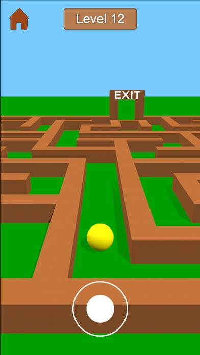 Maze Games 3D: Fun Puzzle Game Скриншот приложения #2