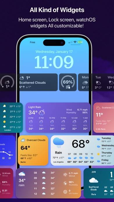 HeyWeather: Accurate Forecast Capture d'écran de l'application #4