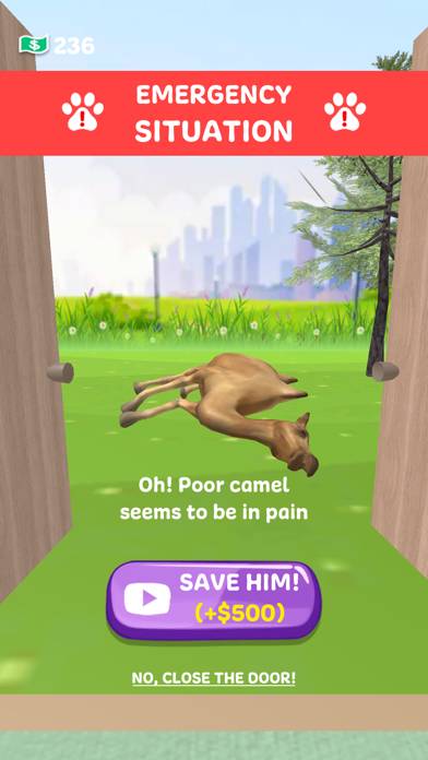 Paw Care! Schermata dell'app #6