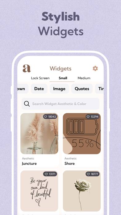 Aesthetic widget 16,17 changer Capture d'écran de l'application