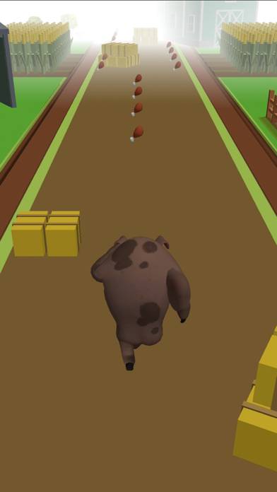 Vegan Run game screenshot