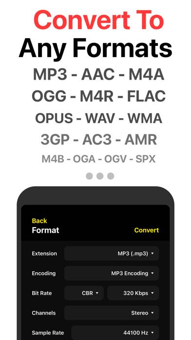 Audio Converter App-Screenshot