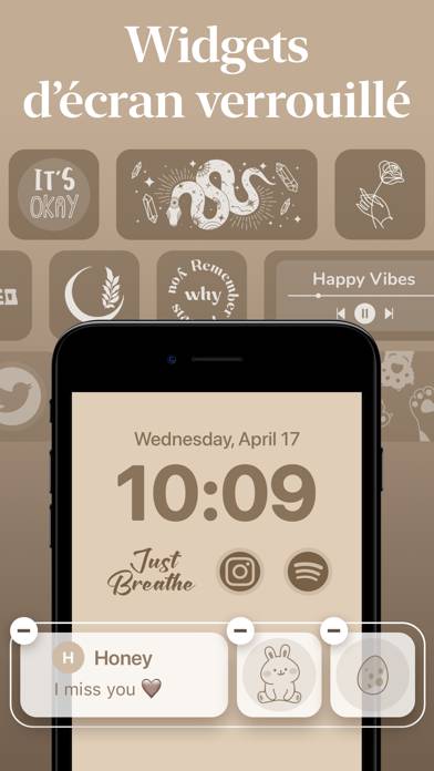 Icon Themer - Pro Widget capture d'écran