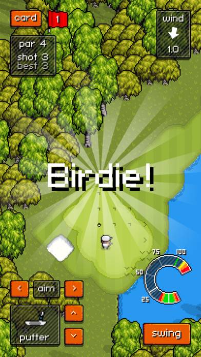 Pixel Pro Golf Schermata dell'app #3