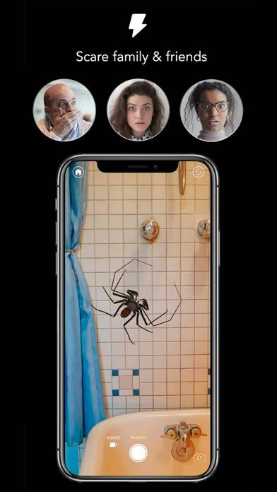 AR Spiders & Co: Scare friends App-Screenshot #3