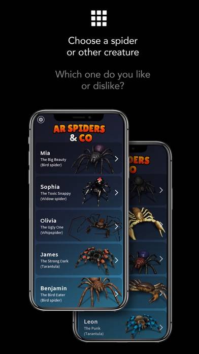 AR Spiders & Co: Scare friends App screenshot #5