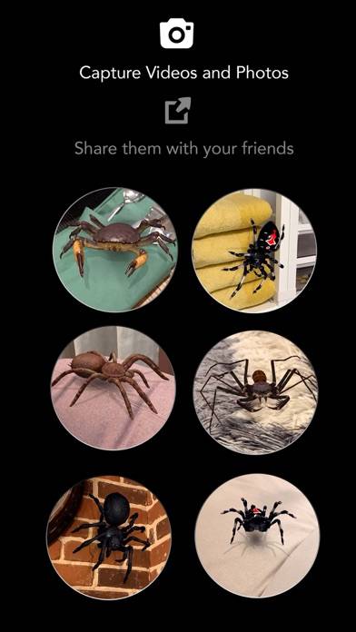 AR Spiders & Co: Scare friends App-Screenshot #6