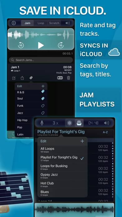 Pro Looper App-Screenshot #5
