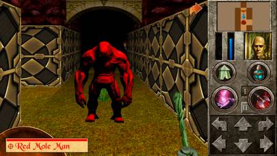 The Quest - Asteroids immagine dello schermo