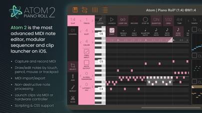 Atom | Piano Roll 2 skärmdump